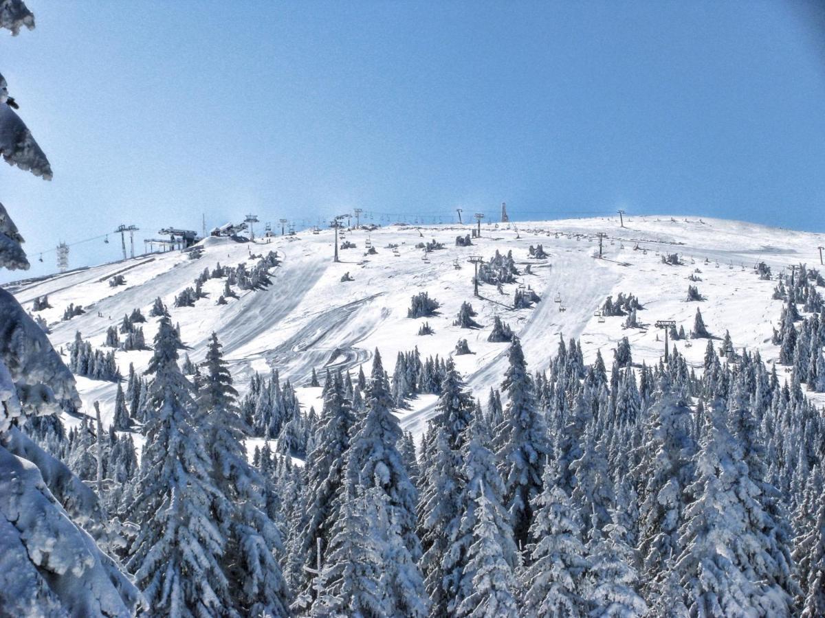 Premia Apartments Konaci Kopaonik Eksteriør billede